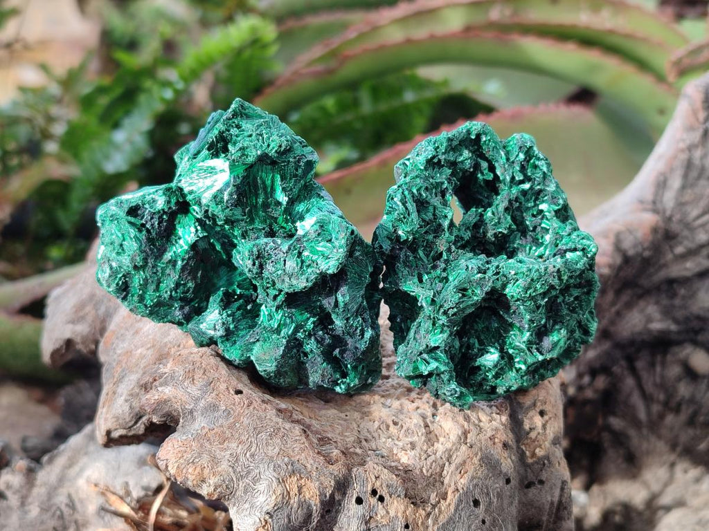 Natural Silky Malachite Specimens x 12 From Kasompe, Congo - Toprock Gemstones and Minerals 