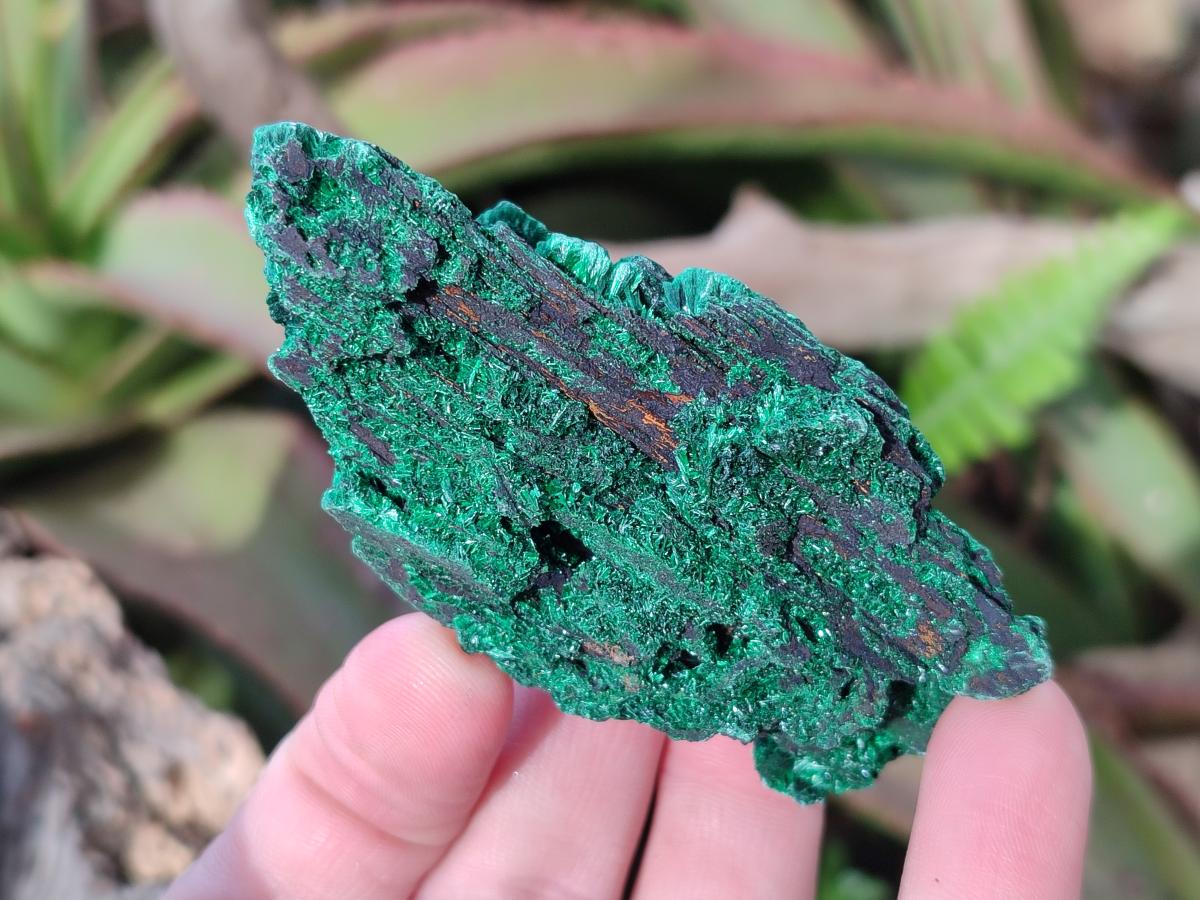 Natural Silky Malachite Specimens x 12 From Kasompe, Congo - Toprock Gemstones and Minerals 