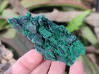 Natural Silky Malachite Specimens x 12 From Kasompe, Congo - Toprock Gemstones and Minerals 