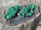 Natural Silky Malachite Specimens x 12 From Kasompe, Congo - Toprock Gemstones and Minerals 