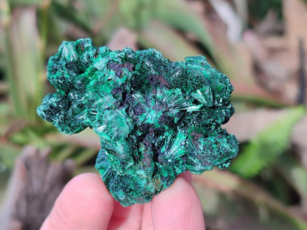 Natural Silky Malachite Specimens x 12 From Kasompe, Congo - Toprock Gemstones and Minerals 
