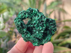 Natural Silky Malachite Specimens x 12 From Kasompe, Congo - Toprock Gemstones and Minerals 