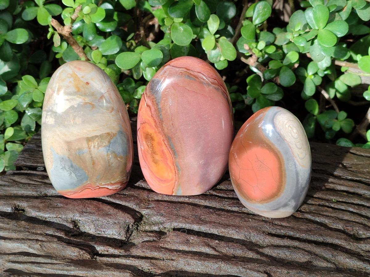 Polished Polychrome Jasper Standing Display Pieces x 3 From NW Coast, Madagascar - Toprock Gemstones and Minerals 