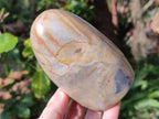 Polished Polychrome Jasper Standing Display Pieces x 3 From NW Coast, Madagascar - Toprock Gemstones and Minerals 