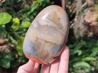 Polished Polychrome Jasper Standing Display Pieces x 3 From NW Coast, Madagascar - Toprock Gemstones and Minerals 