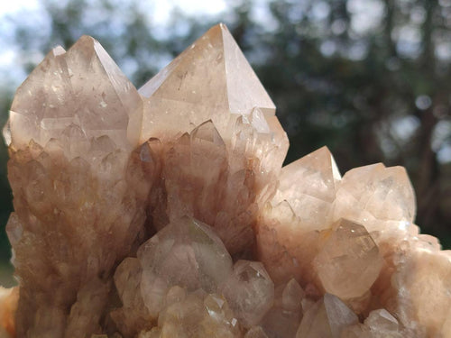 Natural Cascading White Phantom Smokey Luena Quartz Clusters x 3 From Luena, Congo - Toprock Gemstones and Minerals 
