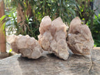 Natural Cascading White Phantom Smokey Luena Quartz Clusters x 3 From Luena, Congo - Toprock Gemstones and Minerals 