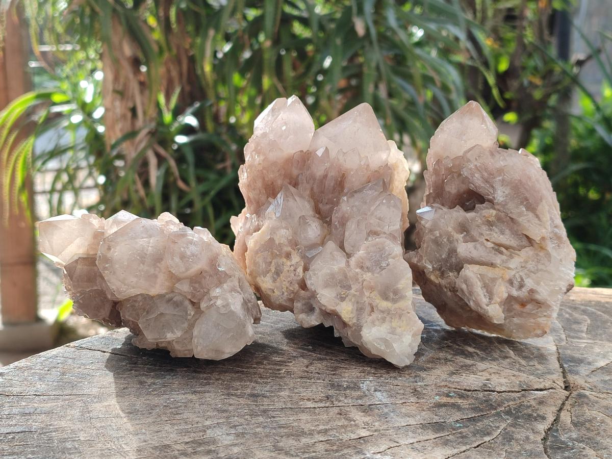 Natural Cascading White Phantom Smokey Luena Quartz Clusters x 3 From Luena, Congo - Toprock Gemstones and Minerals 