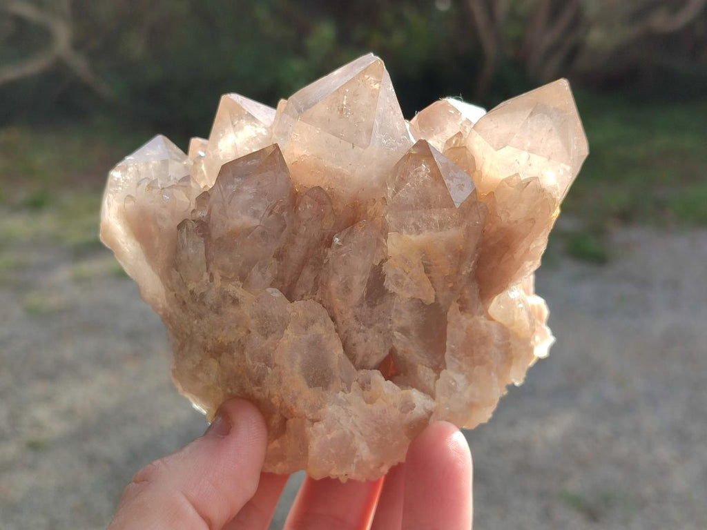 Natural Cascading White Phantom Smokey Luena Quartz Clusters x 3 From Luena, Congo - Toprock Gemstones and Minerals 