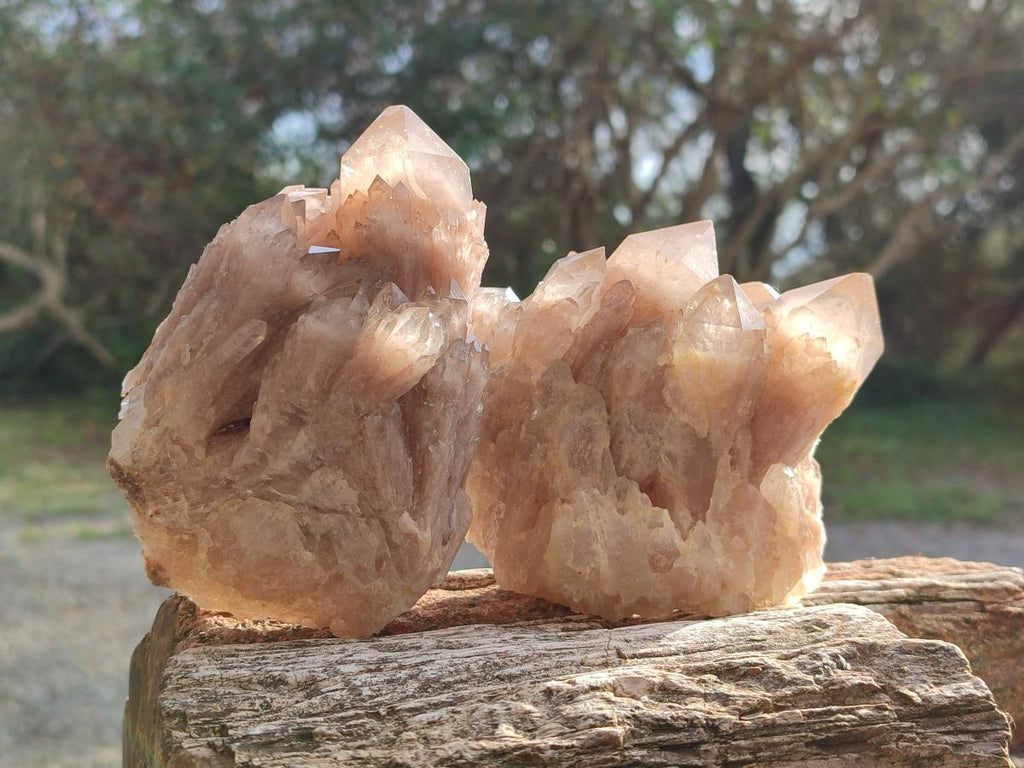 Natural Cascading White Phantom Smokey Luena Quartz Clusters x 3 From Luena, Congo - Toprock Gemstones and Minerals 