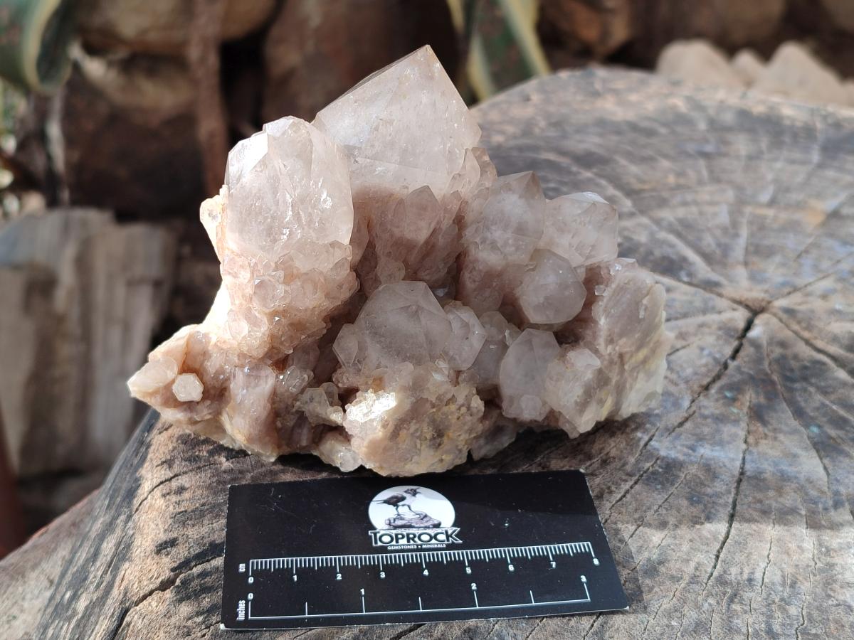 Natural Cascading White Phantom Smokey Luena Quartz Clusters x 3 From Luena, Congo - Toprock Gemstones and Minerals 