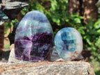 Polished Mix of Watermelon Fluorite Pieces x 6 From Uis, Namibia - Toprock Gemstones and Minerals 