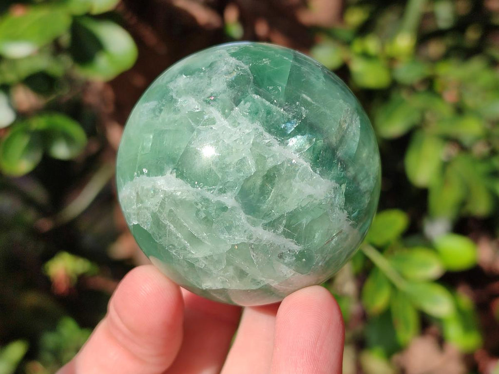 Polished Mix of Watermelon Fluorite Pieces x 6 From Uis, Namibia - Toprock Gemstones and Minerals 