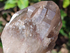 Natural Large Red Hematoid Quartz Crystal x 3 From Karoi, Zimbabwe - Toprock Gemstones and Minerals 