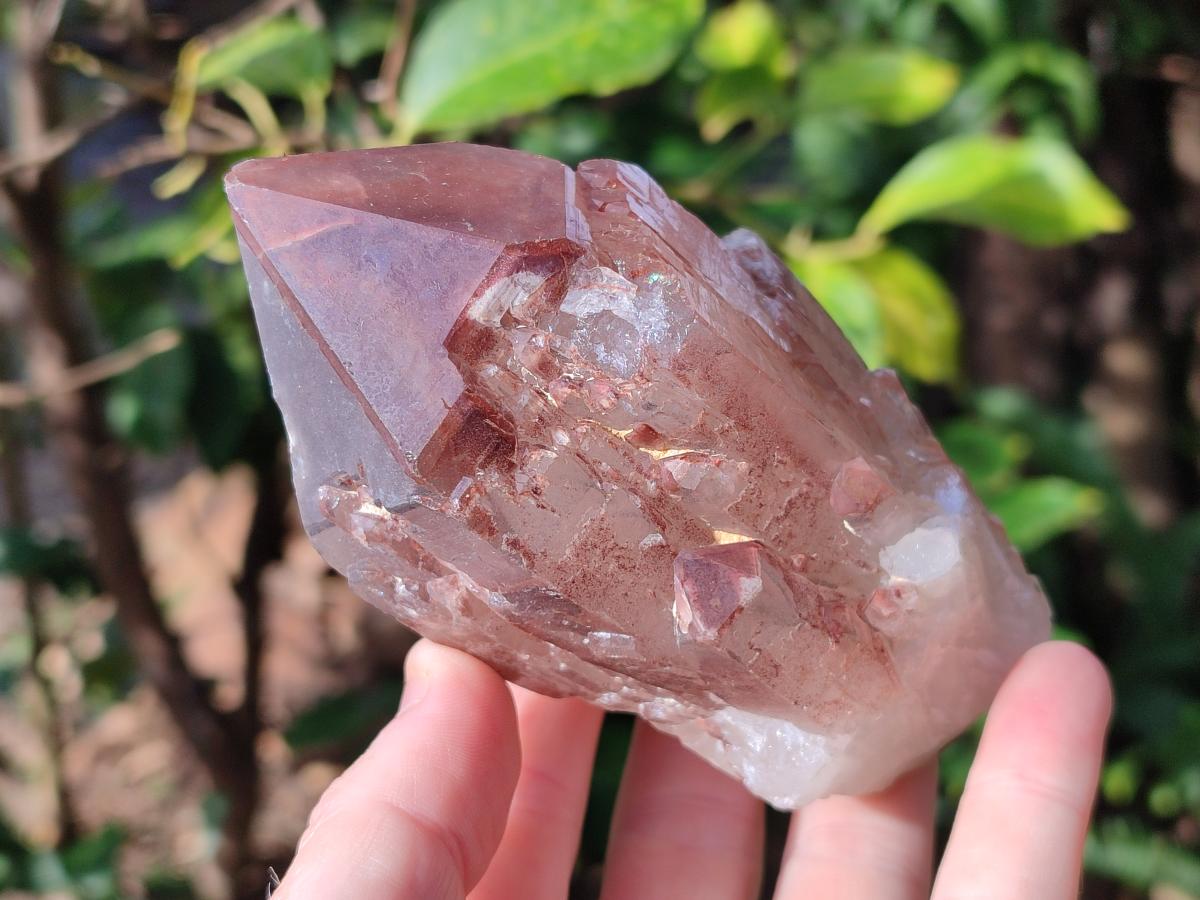 Natural Large Red Hematoid Quartz Crystal x 3 From Karoi, Zimbabwe - Toprock Gemstones and Minerals 