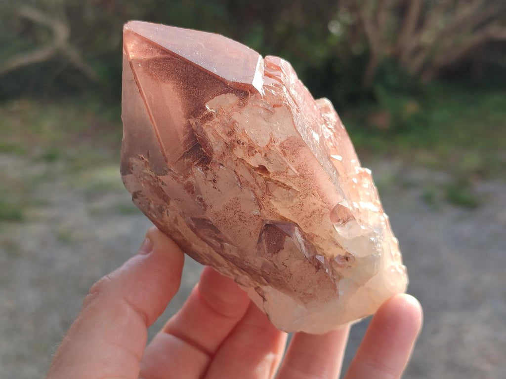 Natural Large Red Hematoid Quartz Crystal x 3 From Karoi, Zimbabwe - Toprock Gemstones and Minerals 