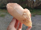 Natural Large Red Hematoid Quartz Crystal x 3 From Karoi, Zimbabwe - Toprock Gemstones and Minerals 