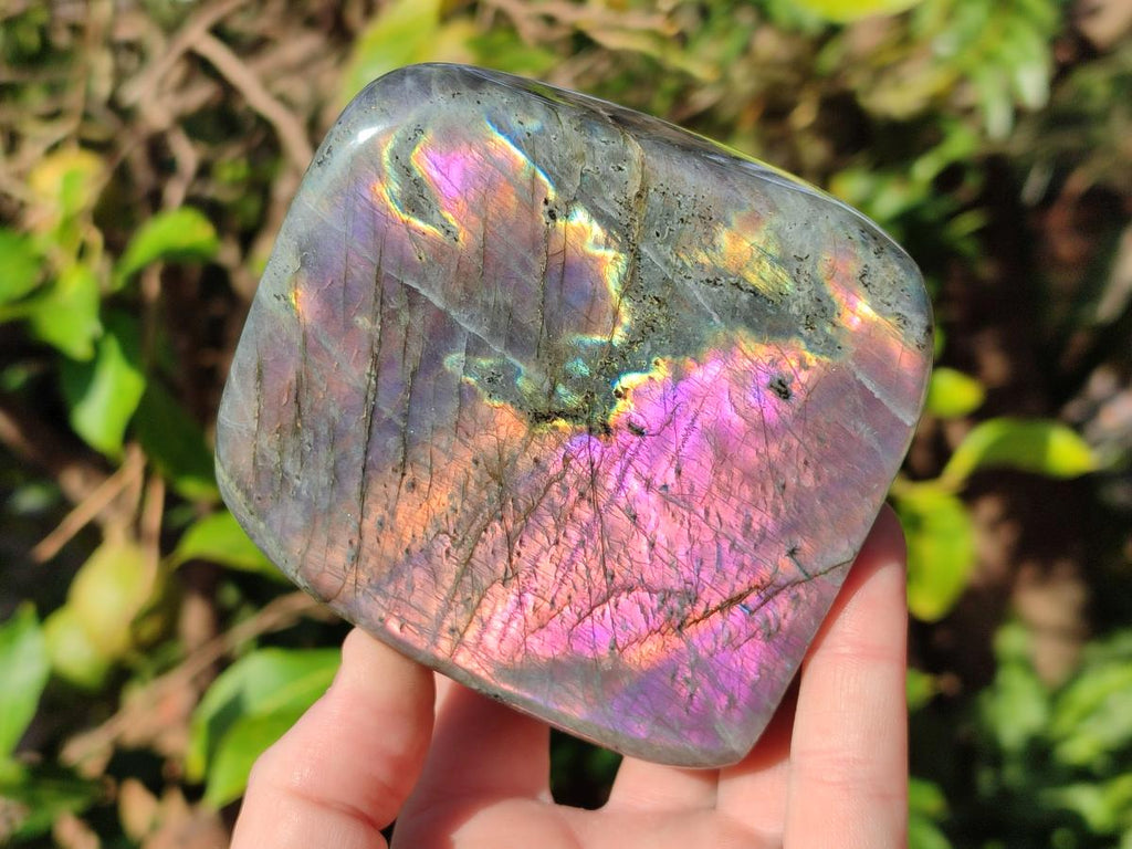 Polished Rare Purple Sunset Flash Labradorite Standing Display Piece x 2 From Madagascar - Toprock Gemstones and Minerals 
