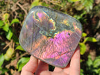 Polished Rare Purple Sunset Flash Labradorite Standing Display Piece x 2 From Madagascar - Toprock Gemstones and Minerals 