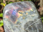Polished Rare Purple Sunset Flash Labradorite Standing Display Piece x 2 From Madagascar - Toprock Gemstones and Minerals 