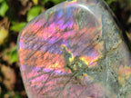 Polished Rare Purple Sunset Flash Labradorite Standing Display Piece x 2 From Madagascar - Toprock Gemstones and Minerals 