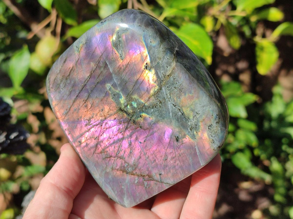 Polished Rare Purple Sunset Flash Labradorite Standing Display Piece x 2 From Madagascar - Toprock Gemstones and Minerals 