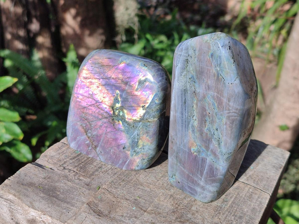 Polished Rare Purple Sunset Flash Labradorite Standing Display Piece x 2 From Madagascar - Toprock Gemstones and Minerals 