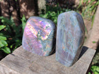 Polished Rare Purple Sunset Flash Labradorite Standing Display Piece x 2 From Madagascar - Toprock Gemstones and Minerals 