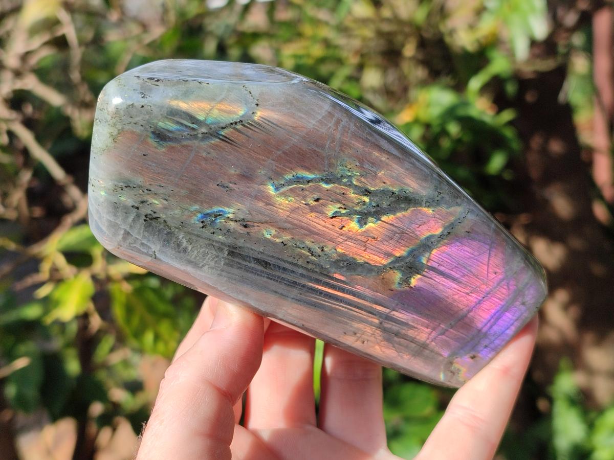 Polished Rare Purple Sunset Flash Labradorite Standing Display Piece x 2 From Madagascar - Toprock Gemstones and Minerals 