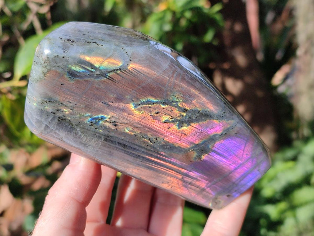 Polished Rare Purple Sunset Flash Labradorite Standing Display Piece x 2 From Madagascar - Toprock Gemstones and Minerals 