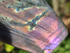 Polished Rare Purple Sunset Flash Labradorite Standing Display Piece x 2 From Madagascar - Toprock Gemstones and Minerals 