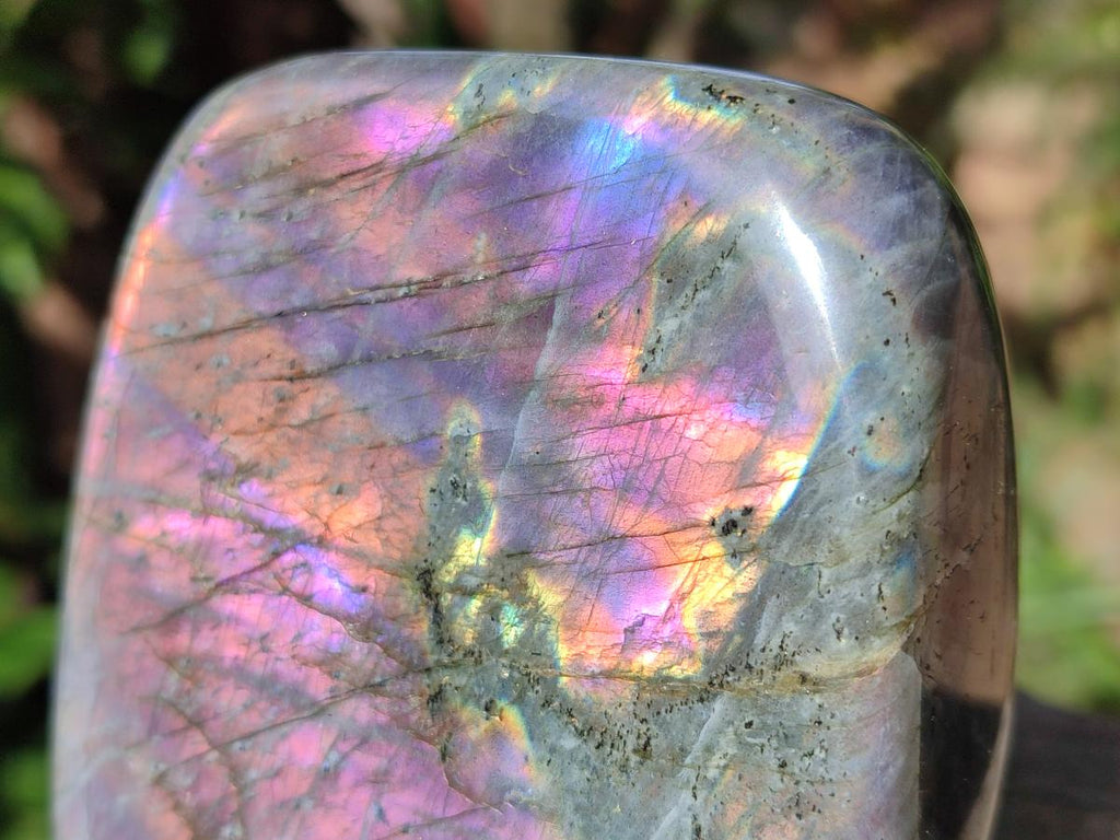 Polished Rare Purple Sunset Flash Labradorite Standing Display Piece x 2 From Madagascar - Toprock Gemstones and Minerals 