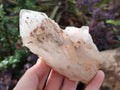 Natural Cascading "Anananas" Candle Quartz Crystals x 18 From Antsirabe, Madagascar - Toprock Gemstones and Minerals 