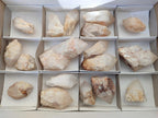 Natural Cascading "Anananas" Candle Quartz Crystals x 18 From Antsirabe, Madagascar - Toprock Gemstones and Minerals 