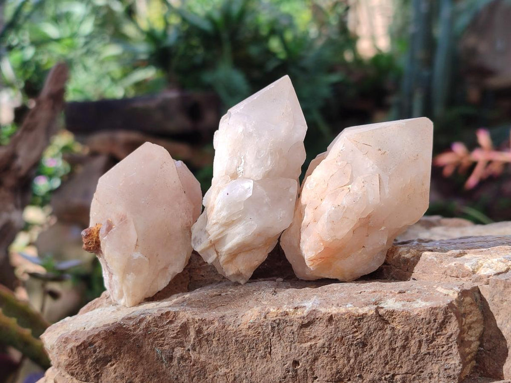 Natural Cascading "Anananas" Candle Quartz Crystals x 18 From Antsirabe, Madagascar - Toprock Gemstones and Minerals 