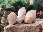 Natural Cascading "Anananas" Candle Quartz Crystals x 18 From Antsirabe, Madagascar - Toprock Gemstones and Minerals 