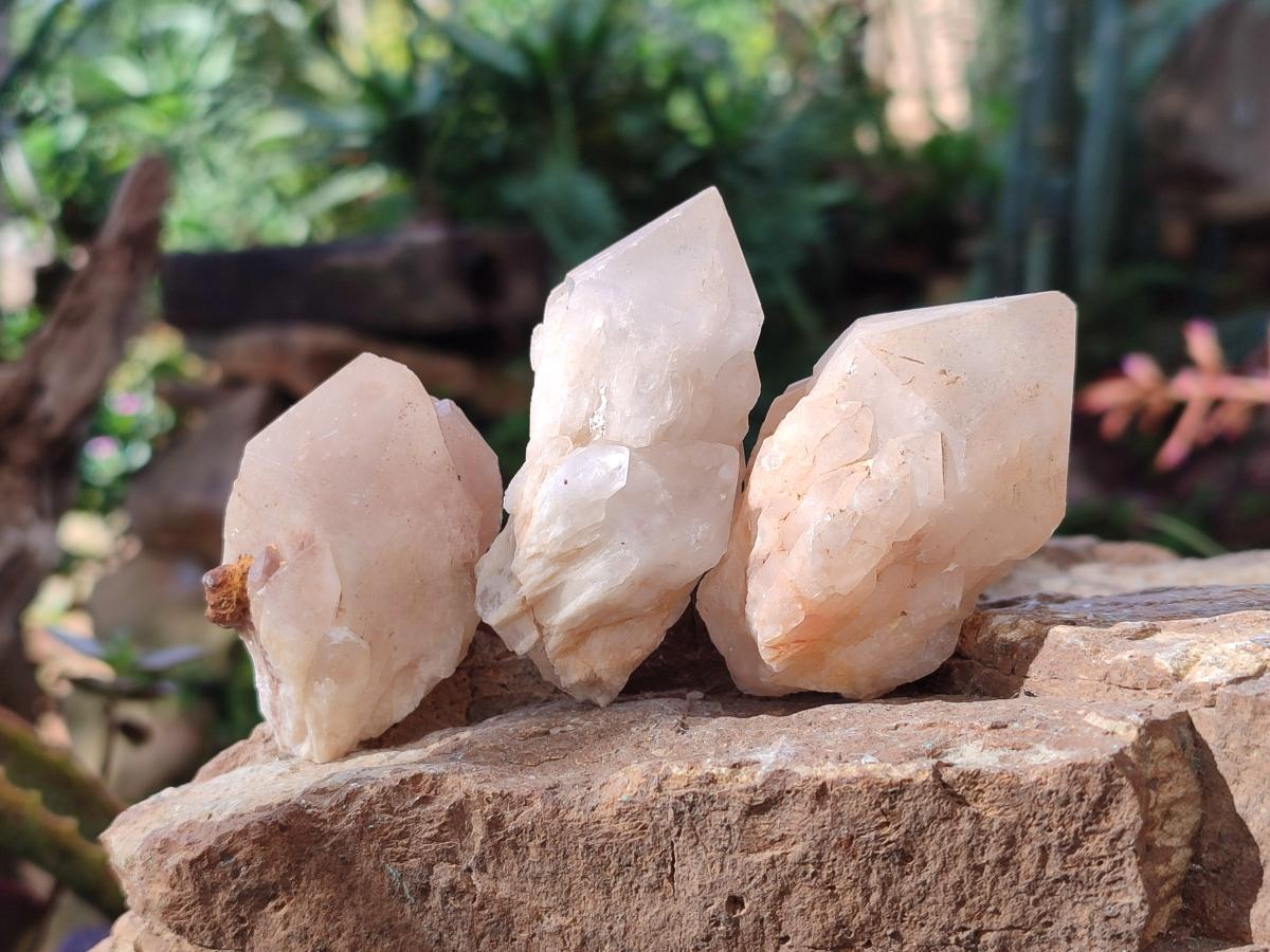 Natural Cascading "Anananas" Candle Quartz Crystals x 18 From Antsirabe, Madagascar - Toprock Gemstones and Minerals 