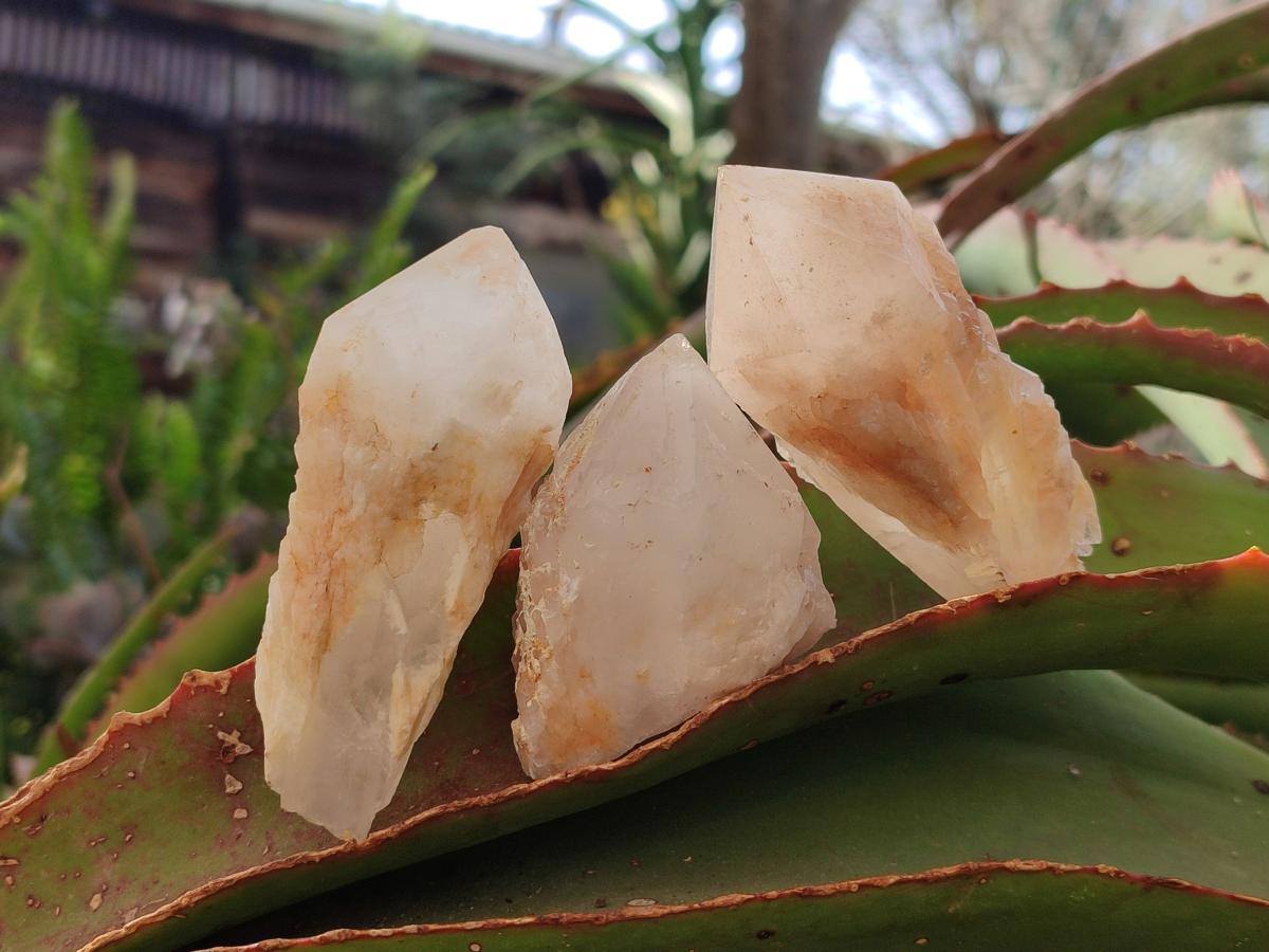 Natural Cascading "Anananas" Candle Quartz Crystals x 18 From Antsirabe, Madagascar - Toprock Gemstones and Minerals 
