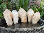 Natural Cascading "Anananas" Candle Quartz Crystals x 18 From Antsirabe, Madagascar - Toprock Gemstones and Minerals 