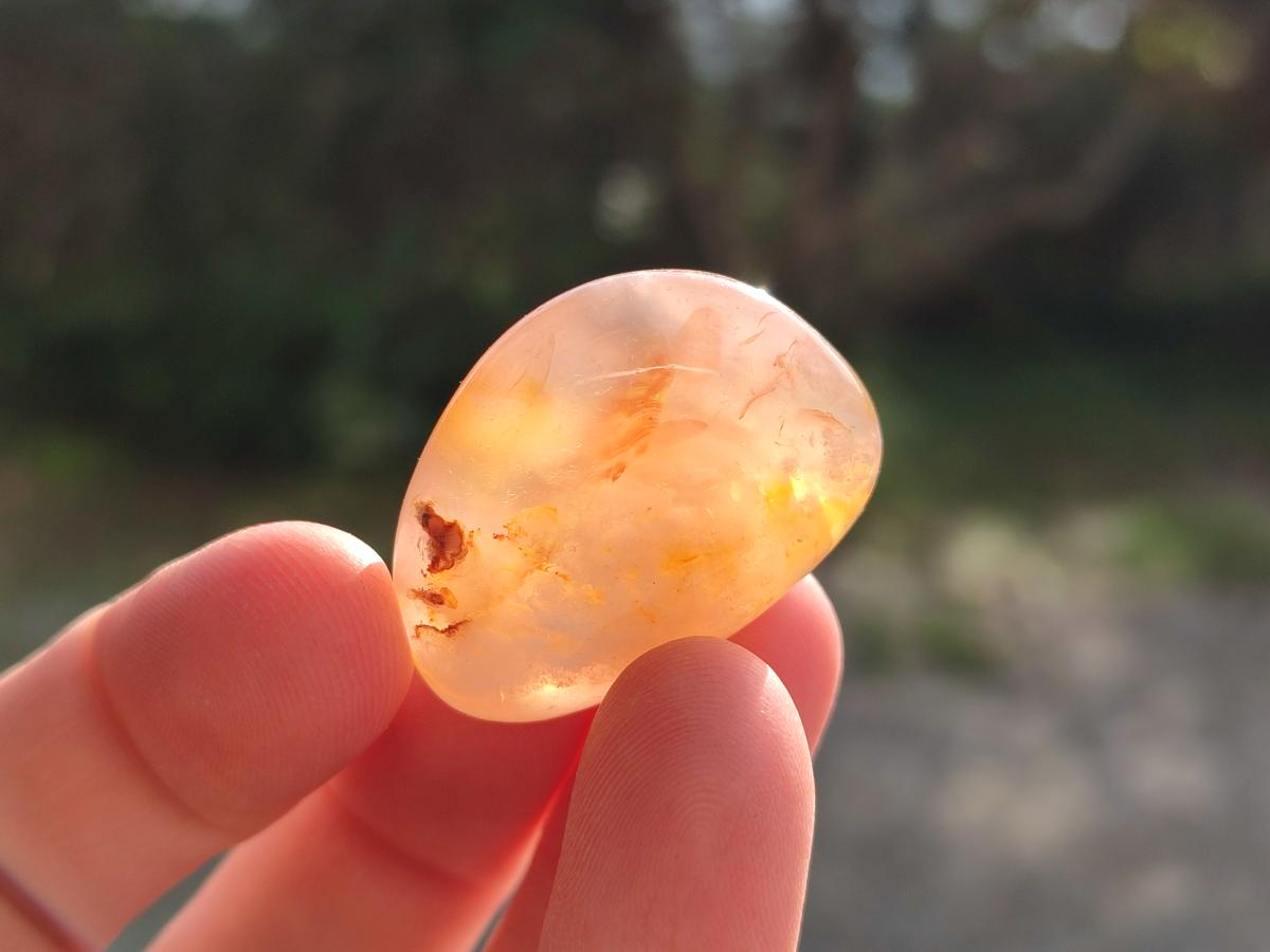 Polished Small Flower Agate Free Forms x 70 From Antsahalova, Madagascar - Toprock Gemstones and Minerals 