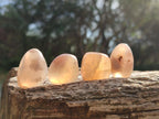 Polished Small Flower Agate Free Forms x 70 From Antsahalova, Madagascar - Toprock Gemstones and Minerals 