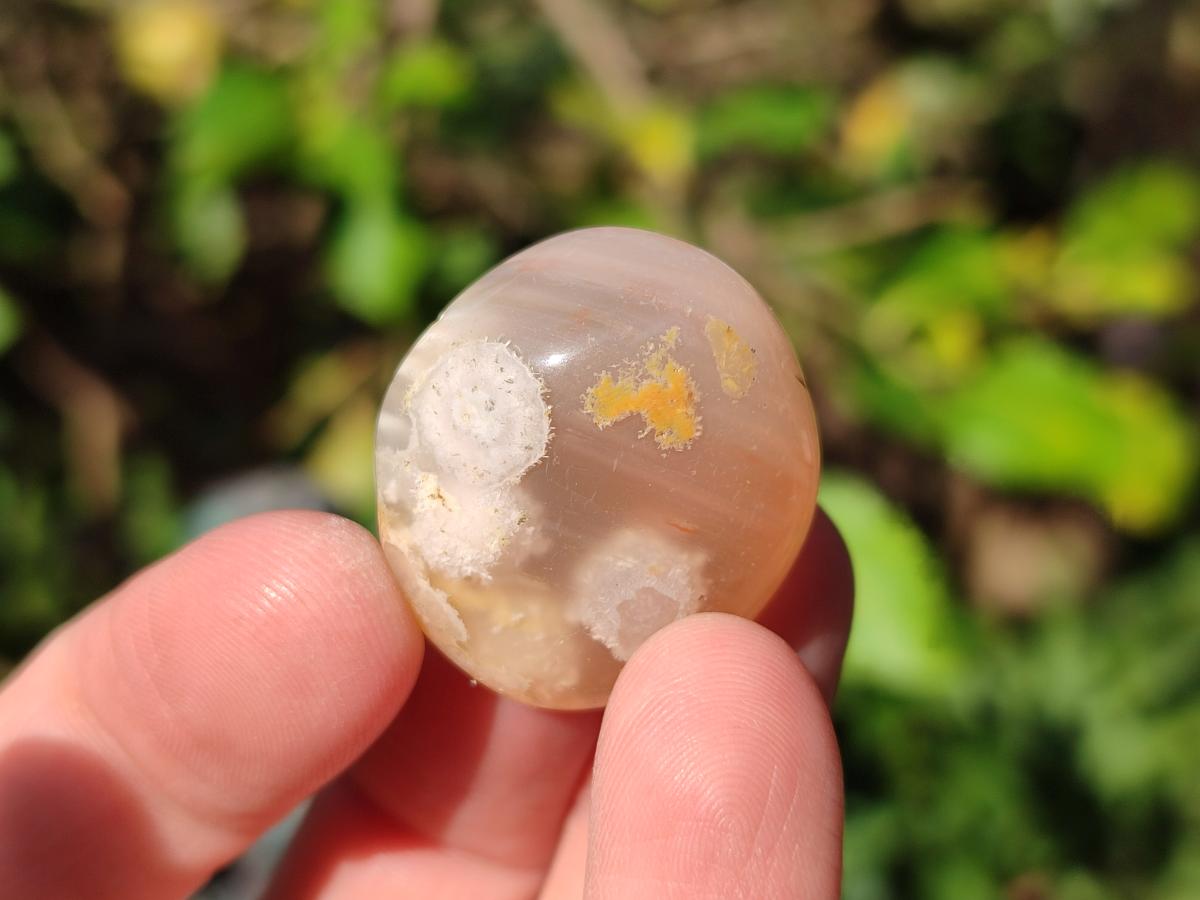 Polished Small Flower Agate Free Forms x 70 From Antsahalova, Madagascar - Toprock Gemstones and Minerals 