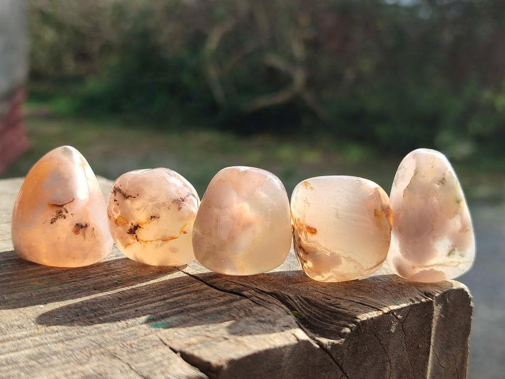 Polished Small Flower Agate Free Forms x 70 From Antsahalova, Madagascar - Toprock Gemstones and Minerals 