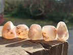 Polished Small Flower Agate Free Forms x 70 From Antsahalova, Madagascar - Toprock Gemstones and Minerals 