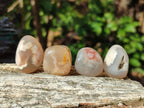 Polished Small Flower Agate Free Forms x 70 From Antsahalova, Madagascar - Toprock Gemstones and Minerals 