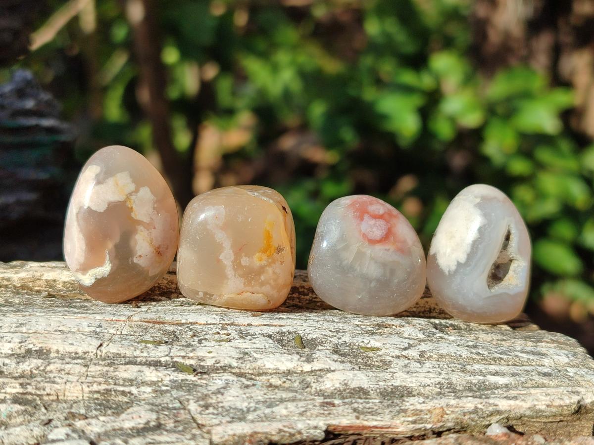 Polished Small Flower Agate Free Forms x 70 From Antsahalova, Madagascar - Toprock Gemstones and Minerals 