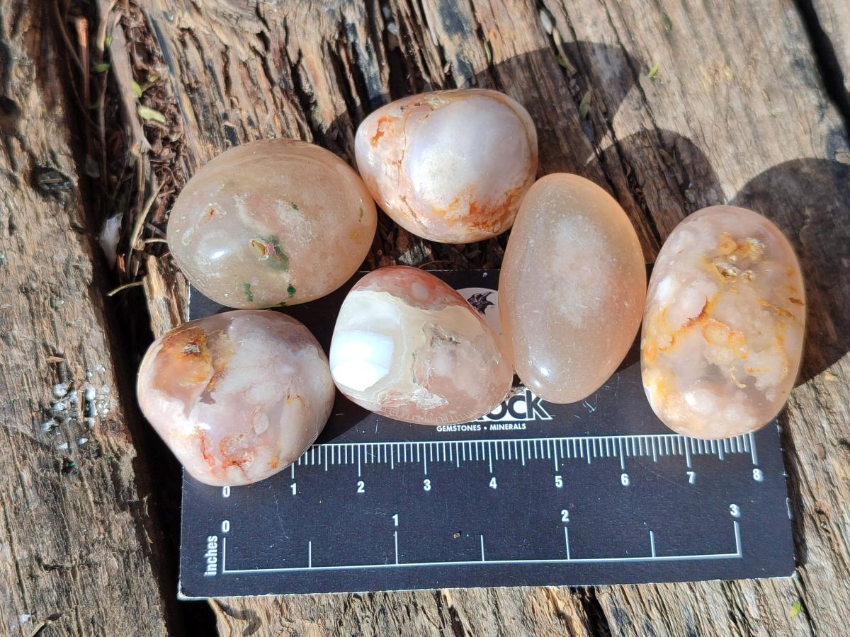 Polished Small Flower Agate Free Forms x 70 From Antsahalova, Madagascar - Toprock Gemstones and Minerals 