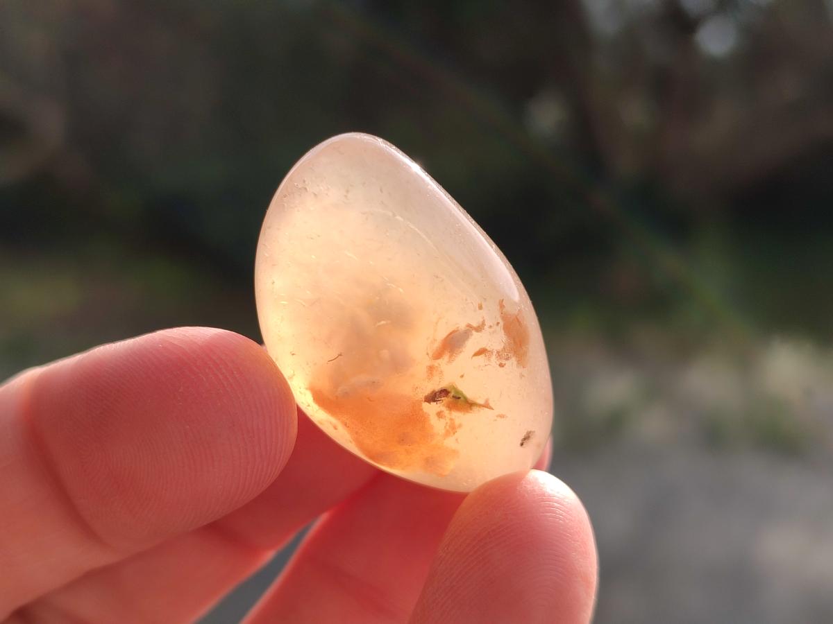Polished Small Flower Agate Free Forms x 70 From Antsahalova, Madagascar - Toprock Gemstones and Minerals 