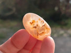 Polished Small Flower Agate Free Forms x 70 From Antsahalova, Madagascar - Toprock Gemstones and Minerals 