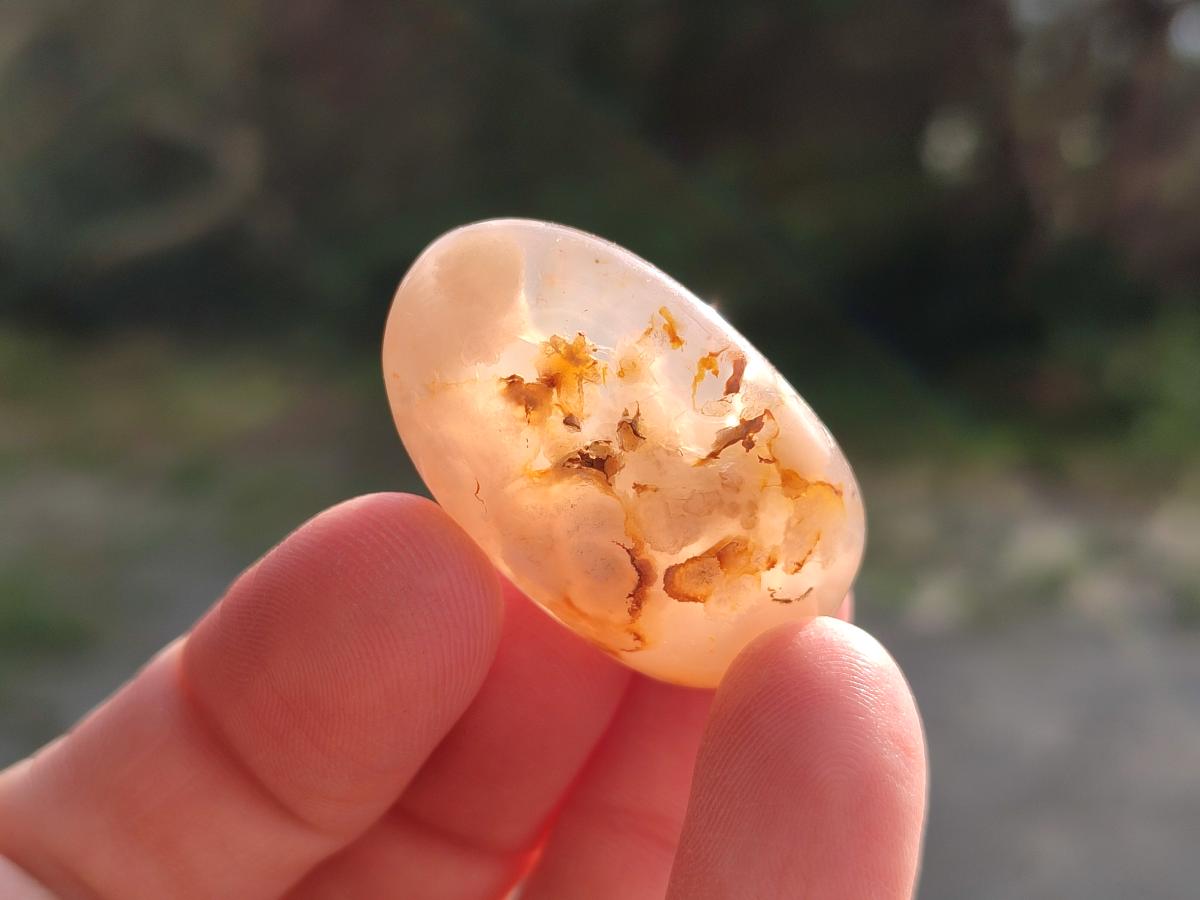 Polished Small Flower Agate Free Forms x 70 From Antsahalova, Madagascar - Toprock Gemstones and Minerals 